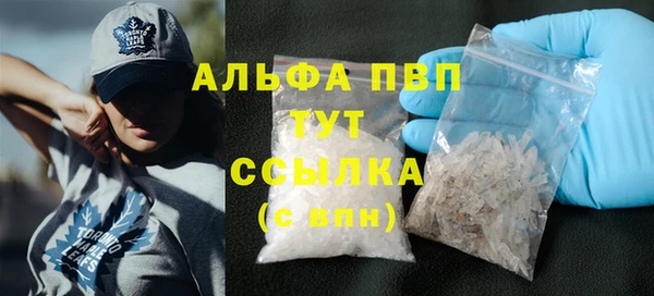 гашик Новозыбков